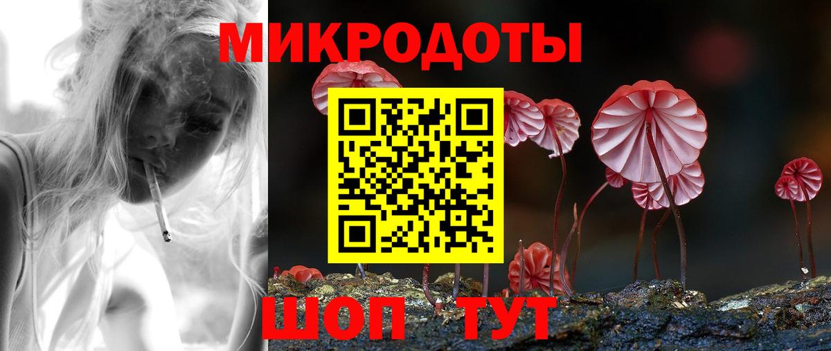 Галлюциногенные грибы Cubensis Павлово
